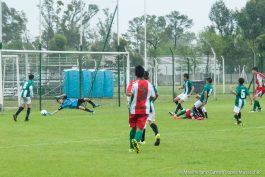 afa-infantiles-2003-05