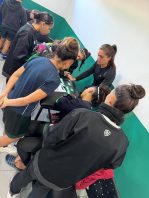 MENTES DE ACERO: EL PLAN DE CAMIONEROS
